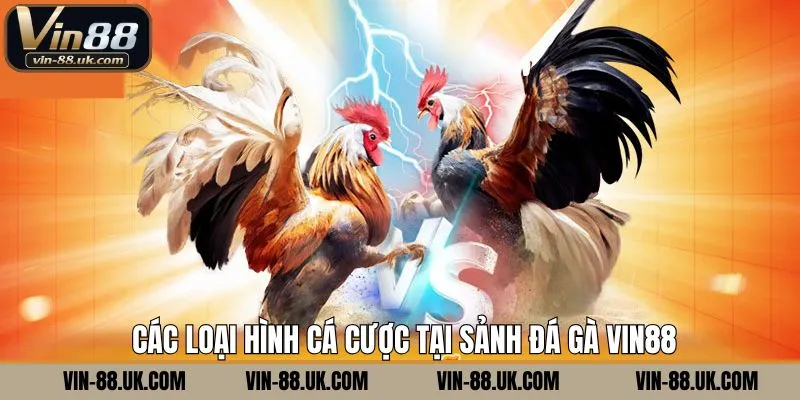 Điểm danh các loại hình đá gà Vin88 đình đám nhất