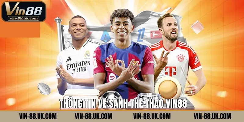Sơ lực về sân chơi giải trí thể thao Vin88